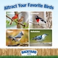 thumbnail image 2 of Bird Seed CountryMax Backyard Safflower 22.5kg Bulk, 2 of 5