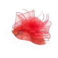 thumbnail image 4 of Coofit Chapeau Fascinator Élégant Maille Voile Fascinator Tea Party Bandeau, 4 of 6