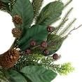 thumbnail image 5 of Northlight Mixed Foliage with Berries Small Artificial Christmas Wreath 20-Inch Unlit, 5 of 8