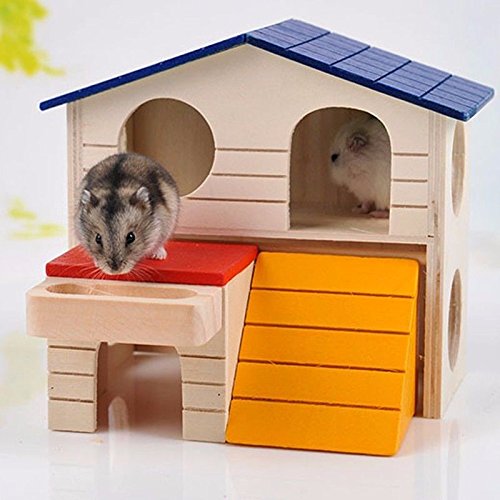 hamster ladder pets at home