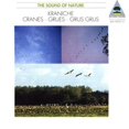 thumbnail image 1 of [Audio CD] Grues-Sons Naturels, 1 of 2