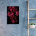 thumbnail image 4 of Epic Art 'Cabbage Roses' by Elise Catterall, Acrylic Glass Wall Art, 16"x24", 4 of 8
