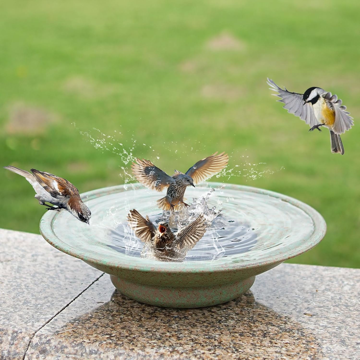Outdoor Bird Bath Bowl, for Outdoors Garden Patio Decor.