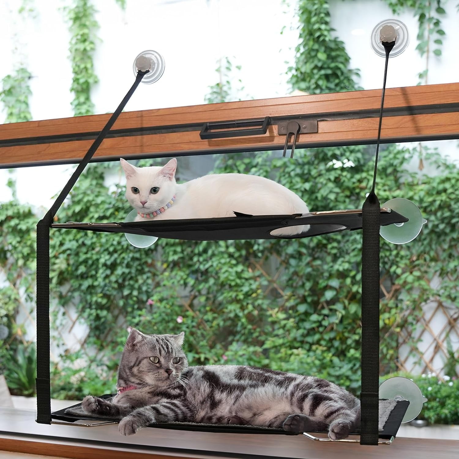 OhhGo Double Layer Cat Window Perch, Cat Hammock Sturdy Cat Window Bed Perch Furniture  Cat Shelf for Multiple Cats, Indoor Window Mounted, Black