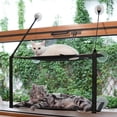 thumbnail image 3 of OhhGo Double Layer Cat Window Perch, Cat Hammock Sturdy Cat Window Bed Perch Furniture  Cat Shelf for Multiple Cats, Indoor Window Mounted, Black, 3 of 8
