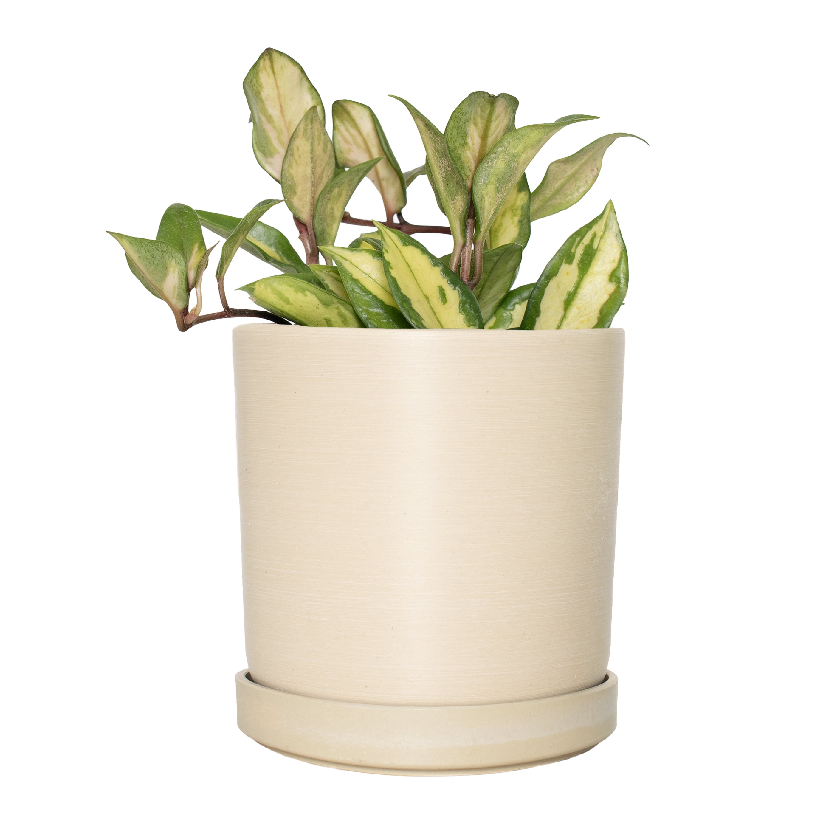 5 In. Creame Upcycled Planter - 1 Piece