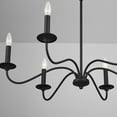 thumbnail image 2 of 6 Light Chandelier     -Traditional Installation Capital Lighting 437262Bi, 2 of 7