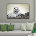 thumbnail image 2 of wall26 Canvas Wall Art - White Tiger Lying on The Rock - Giclee Print Gallery Wrap Modern Home Art Ready to Hang - 32x48 inches, 2 of 4