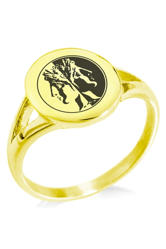 Stainless Steel Janus Greek God of Beginnings Minimalist Oval Top Polished Statement Signet Ring
