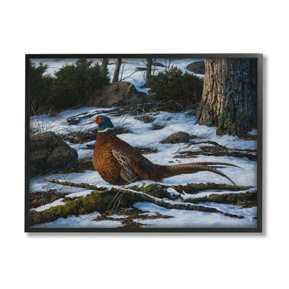 Stupell Industries Pheasant in Snowy Woods Animals & Insects Painting Black Framed Art Print Wall Art, 14 x 11