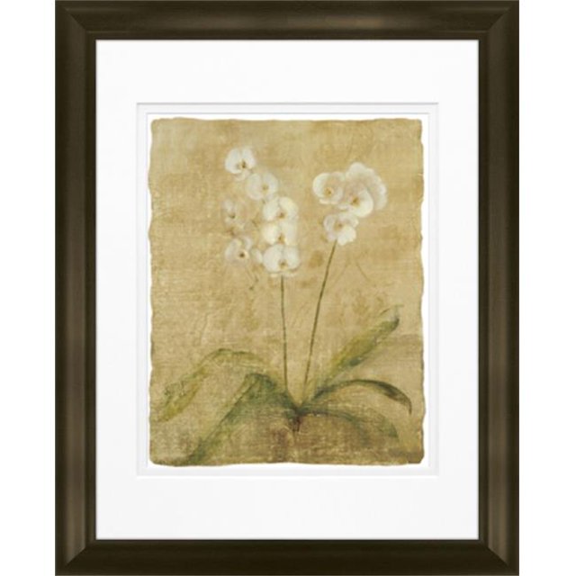 Timeless Frames 55276 Cadre Photo Orchidée 11 x 14 Po - Petit