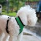 thumbnail image 4 of Arnés reflectante para collar de perro y gato chaleco de malla ropa para entrenamiento (verde oscuro XS) Sywqhk Libre de BPA, 4 of 8