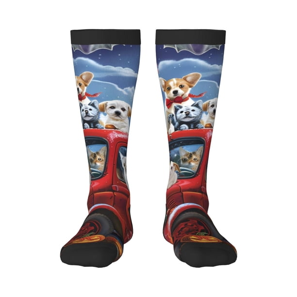 Fotbe Halloween Pets Pumpkins Calcetas Divertidas Estampadas para Hombre y Mujer, Calcetas de Algodón hasta la Rodilla para Caminar, Correr, Enfermería y Embarazo