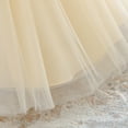 thumbnail image 4 of IBTOM CASTLE Baby Girl Christening Lace Tulle Dress, Newborn Floral Flower Kids Skirt, Toddler Birthday Wedding Party Princess Gown Champagne, 4 of 7