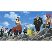 New Fairy Tail: Collection 9 (Blu-ray + DVD)