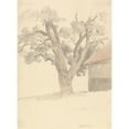 thumbnail image 3 of Robert Hills 11x14 Black Modern Framed Museum Art Print Titled - Walnut Tree (ca. 1826), 3 of 5