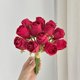 thumbnail image 4 of Set de ramos de flores artificiales 12 piezas - Arreglo floral simulado de seda • Decoración de boda • Utilería para fotografía • Decoración de oficina en casa Flores artificiales, 4 of 7