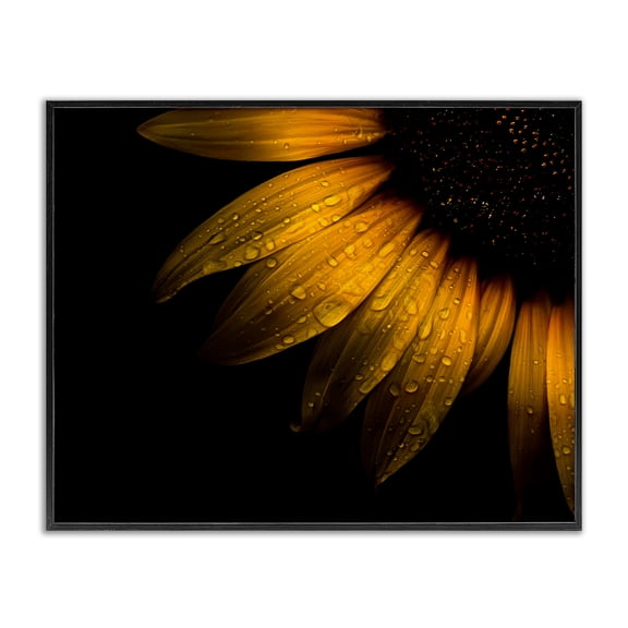 Water Droplets on Sunflower Black Framed Giclee Art, design by Brian Carson Photography