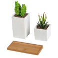 thumbnail image 3 of K-Cliffs Home Decor, Faux Succulents in Square Shaped White Cement Pot with Saucer for Home or Office  Set of 2, 3 of 4
