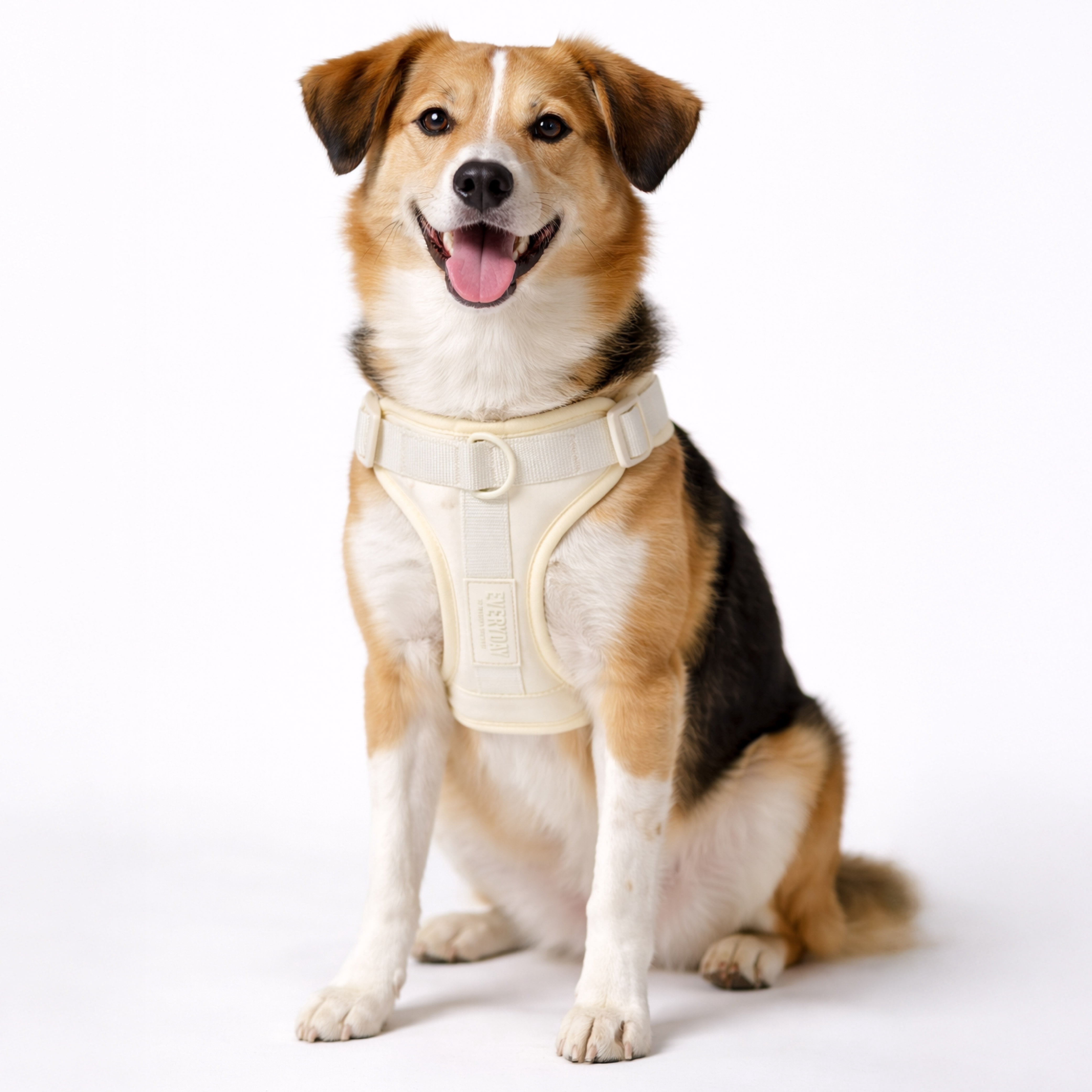 Martha Stewart Cream Neoprene Padded Pet Harness for Comfort and Safety