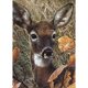 thumbnail image 1 of Cuadros Decorativos (DE3285) 5D DIY taladro completo diamante pintura punto de cruz bordado (Animal-W167) 30x40cm Tmvgtek embutido en tela, 1 of 1