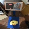 thumbnail image 5 of Follure Creative And Novel Cartoon Chick Doll Yellow Chick Cute Plush Toy Gift, 5 of 5
