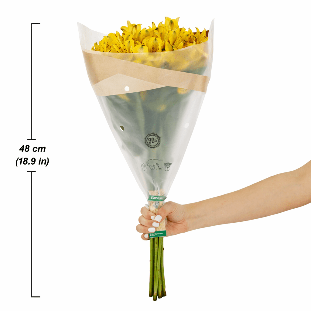 Alstroemeria Flower Bunch Medium, Colors May Vary