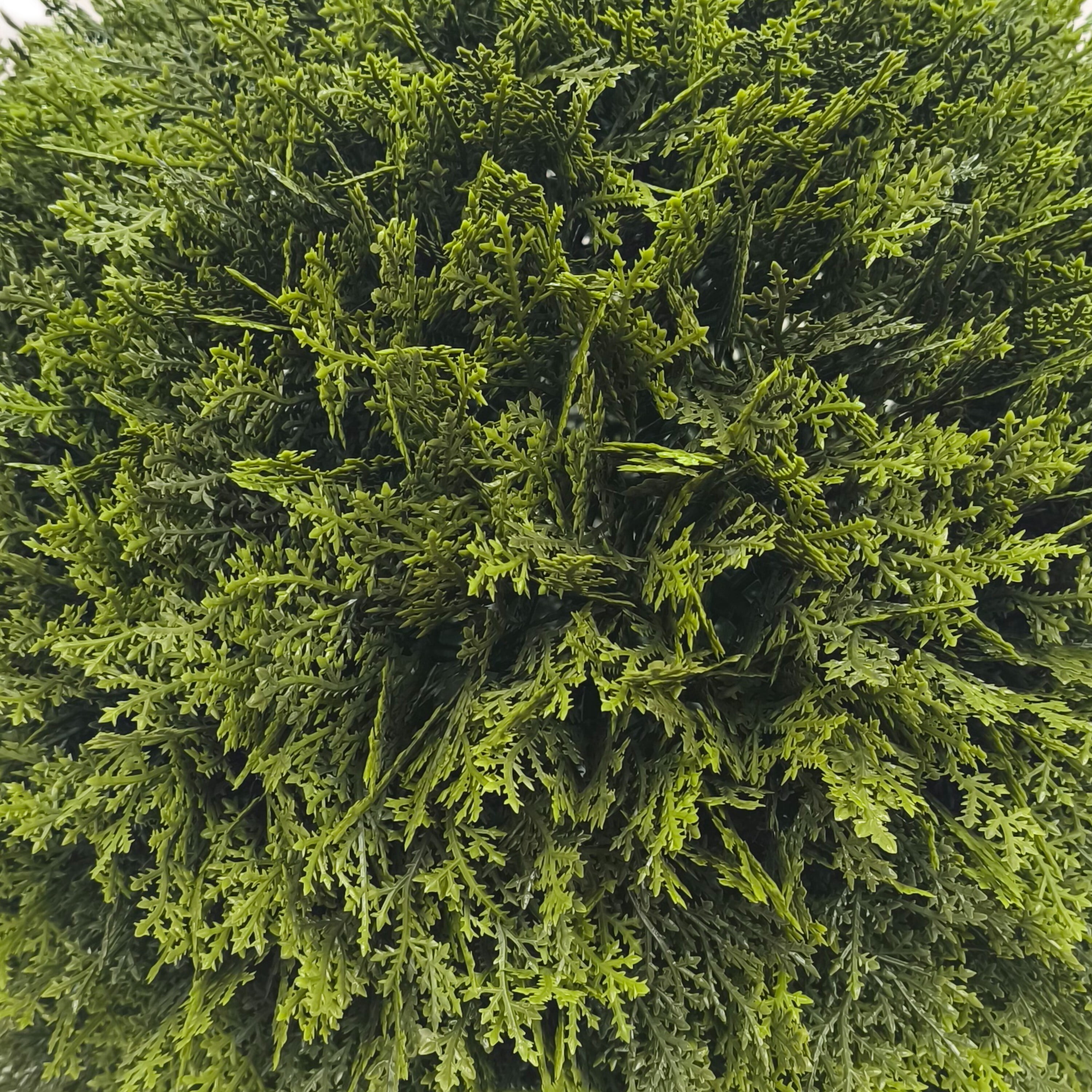 My Texas House 21" Artificial Evergreen Cyprus Ball