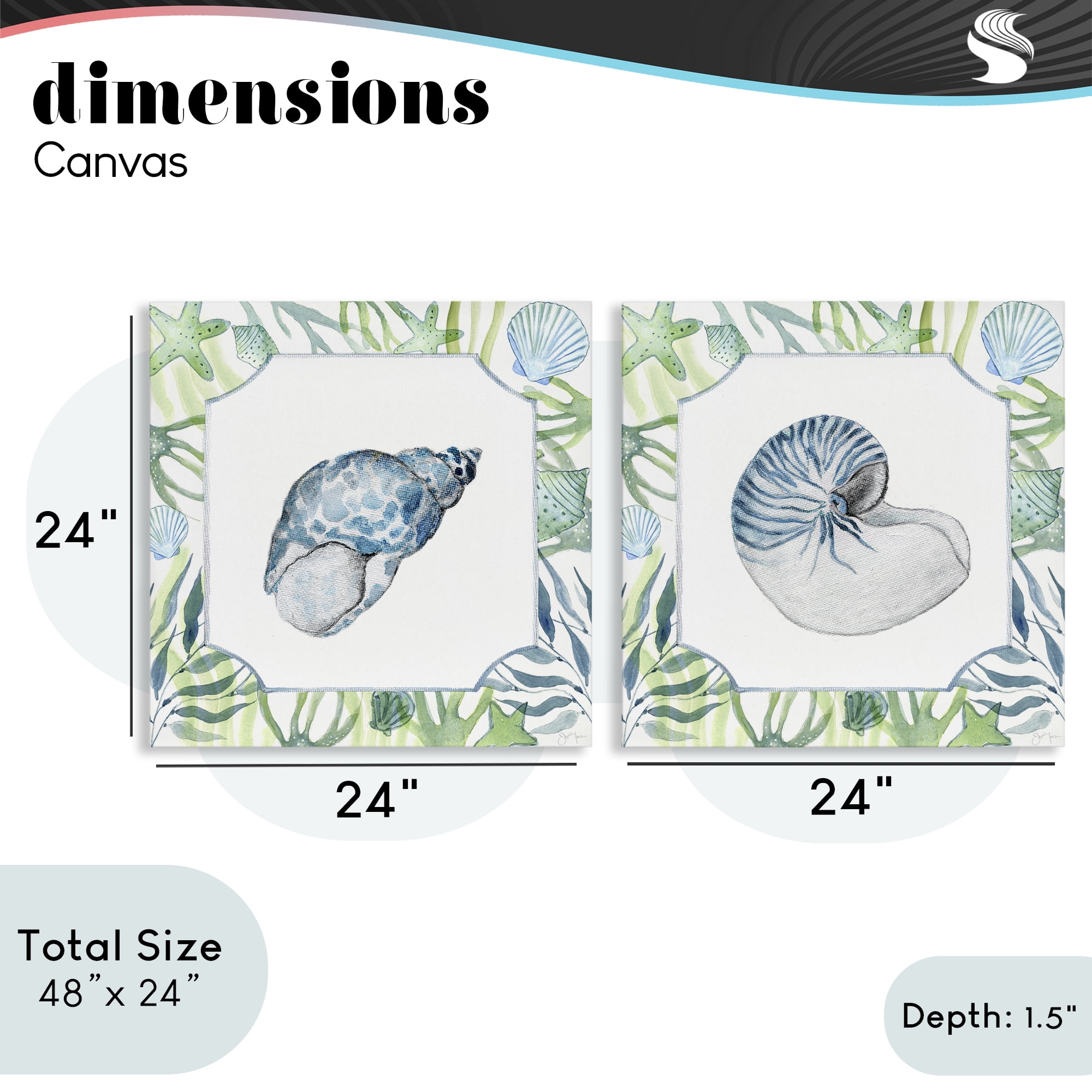 Stupell Industries Seaweed Bordered Seashells 2 Piece Canvas Wall Art Set, design by Janet Tava