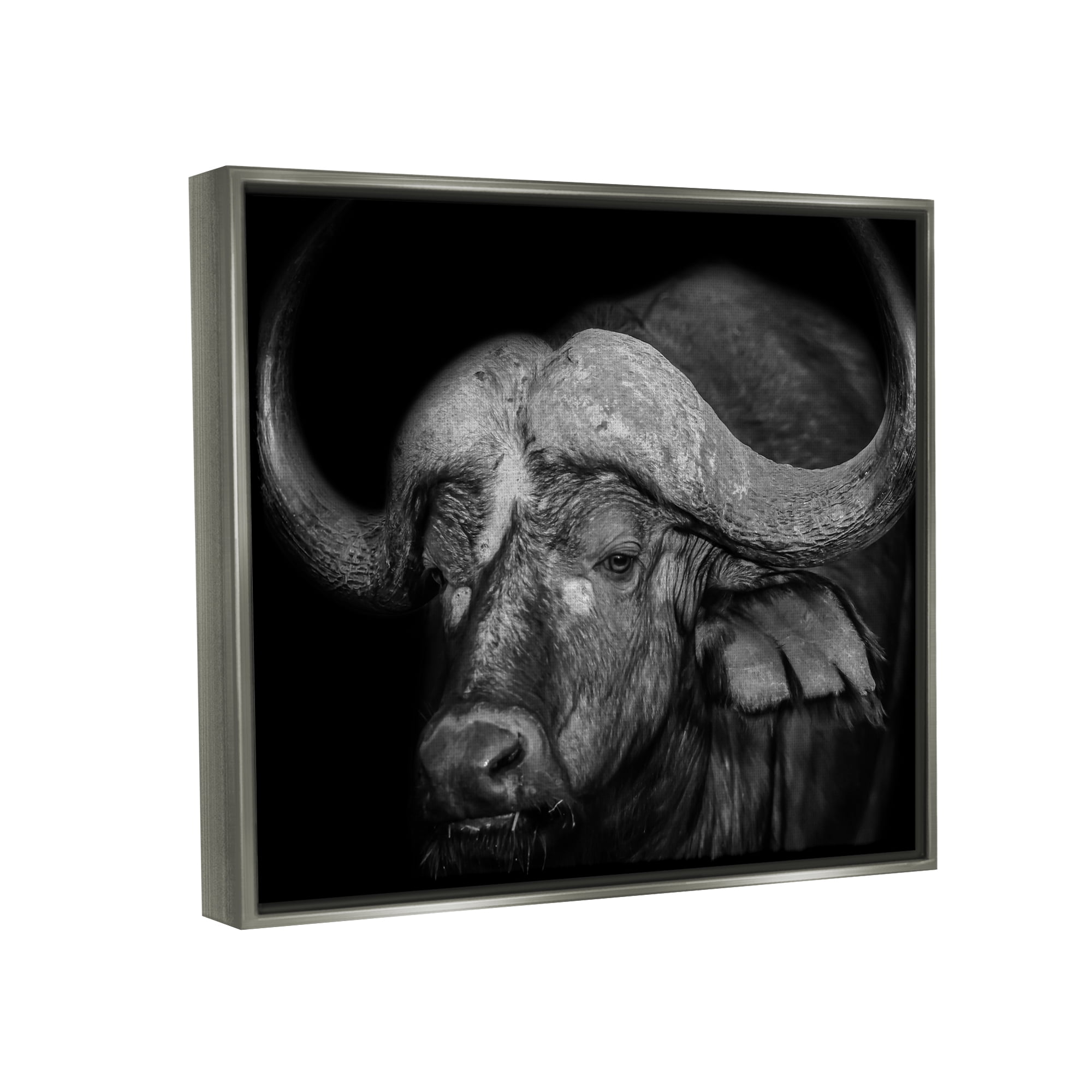 Stupell Industries Dark Buffalo Photography Animals & Insects Photography Gray Floater Framed Canvas Art Print Wall Art, 31 x 25