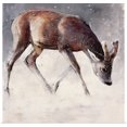 thumbnail image 1 of Great BIG Canvas | Rolled Mark Adlington Poster Print entitled Roe Buck, Winter, 2000, 1 of 4