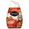 10PK Renuzit Adjustables Air Freshener, Blissful Apples and Cinnamon, 7 oz Cone (03674EA)