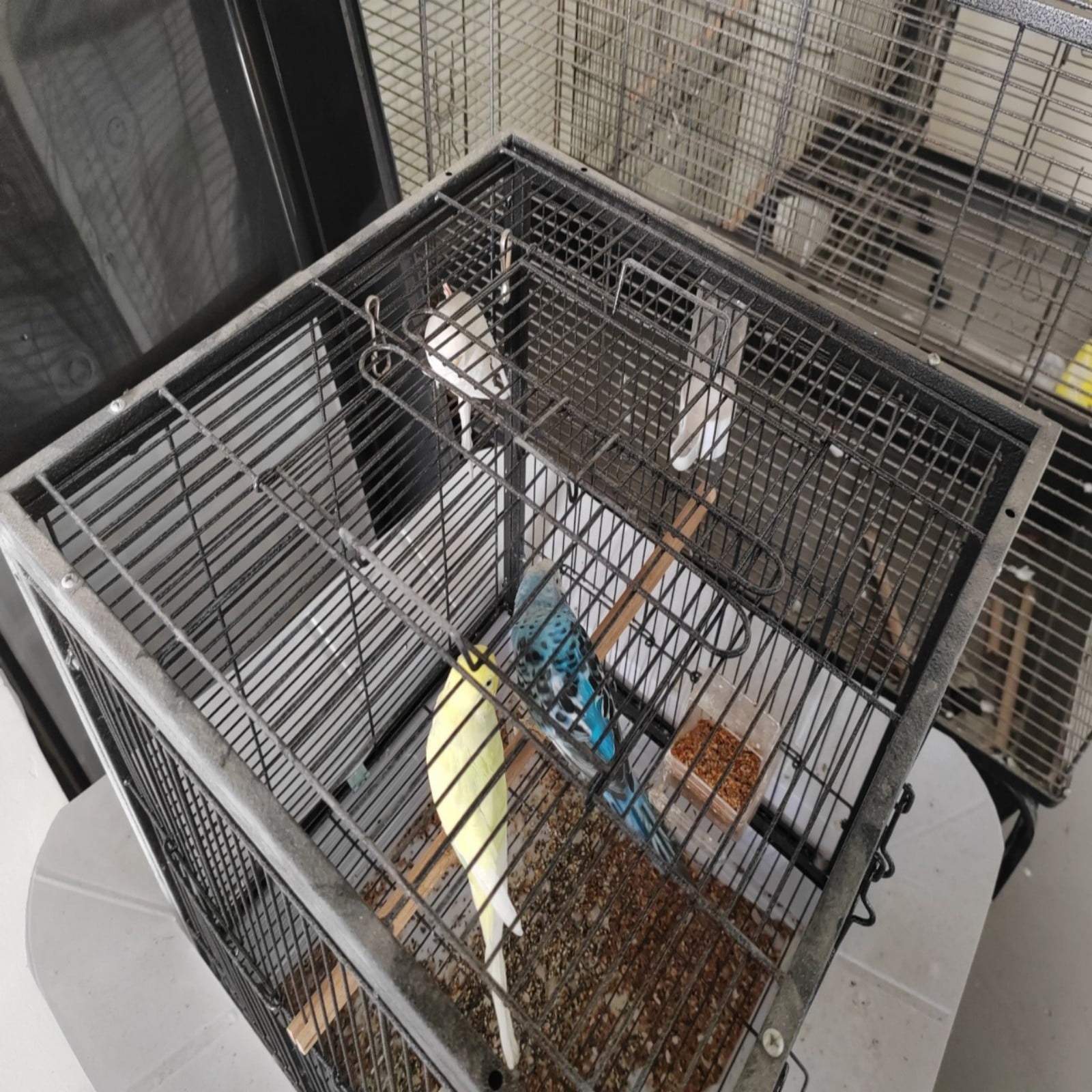Small Bird Cage 24 Inch - Metal Parakeet Cage with Pull Out Tray - Carrier for Cockatiels Budgies Finches - Includes 2 Wood Perches for Small Medium Birds