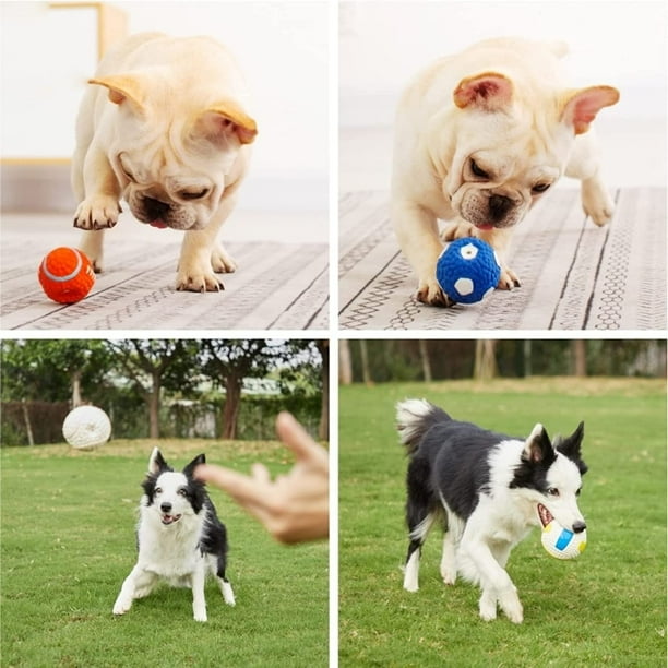 Bite shield dog toys 2025