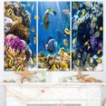 thumbnail image 1 of Poisson dans un Récif Corallien Paysage Marin, 1 of 1