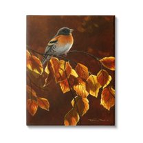Stupell Industries Bird Brown Sunlit Foliage Animals & Insects Painting Gallery Wrapped Canvas Print Wall Art