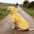 thumbnail image 1 of Greenadscape Impermeable Para Perros Con Capucha Y Reflectante Para Mayor Visibilidad En Lluvia, 1 of 6