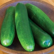 Burpee Burpless Beauty Cucumber Seeds, Slicing Cucumber, Vegetable Gardening Seeds, 1-Pack