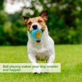 thumbnail image 3 of LED Dog Ball, Bounce-Activated Light Up Dog Ball, Lights Up for Night Play Pet Dog Ball，Interactive Dog Toy??Color Changing LED, 3 of 5
