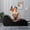 Black, variant on Cynefin Memory Foam Yoga Lounge Chair with Washable Micro-Velvet Cover, Side Pockets and Non-Slip Base, Gray