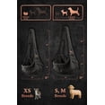 thumbnail image 4 of Correa ajustable para perros NOAH & PAW, 2,2 a 8 kg, 4 of 9