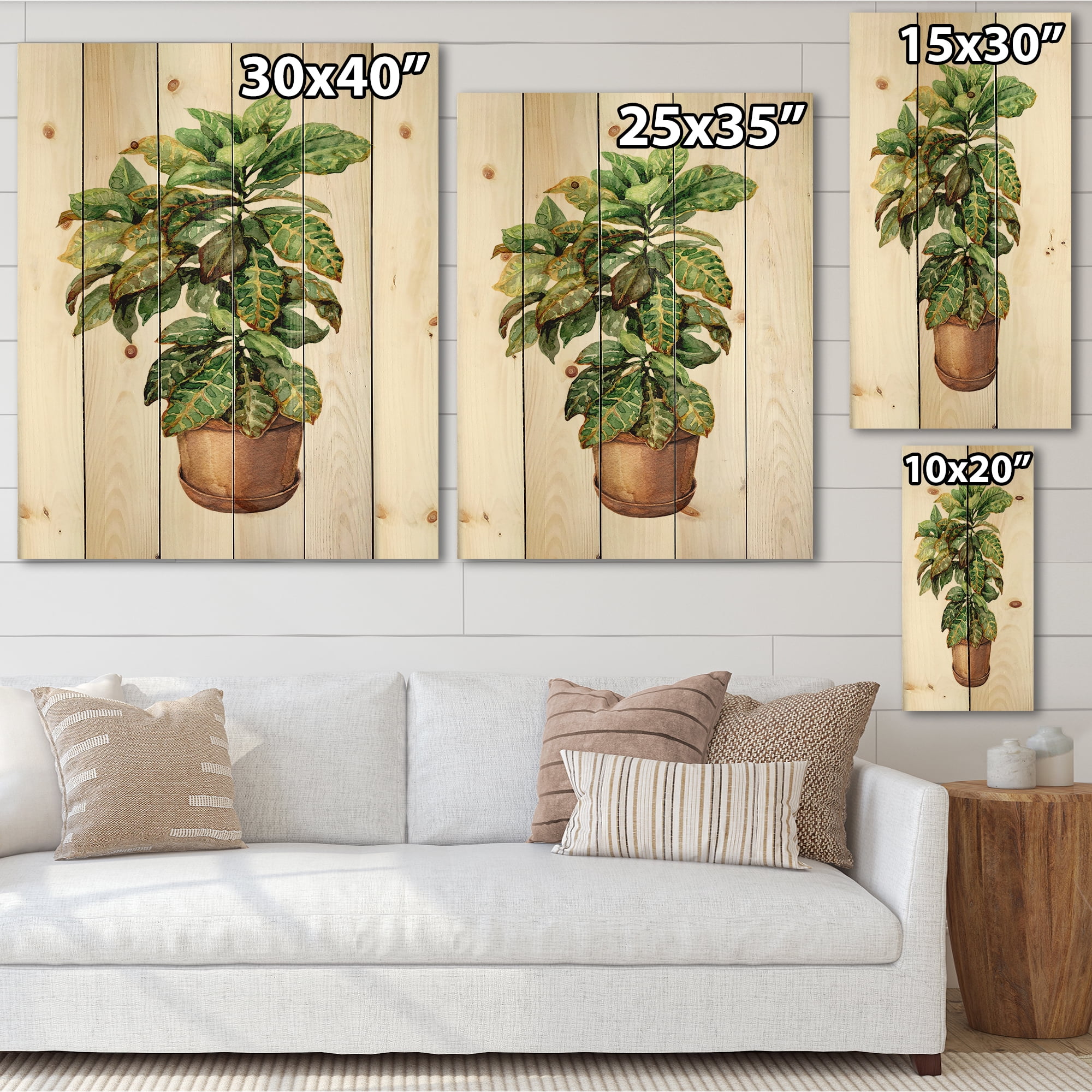 Designart 'Green Croton In Clay Flowerpot' Traditional Print on Natural Pine Wood