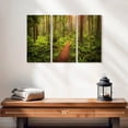 thumbnail image 2 of Elephant Stock Washington Rainforest Wall Art - Horizontal Multi Panel Canvas - Living Room Wall Decor - Nature Multi Panel - Green And Brown Decor - 23" x 14", 2 of 4