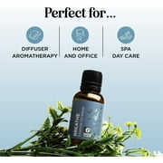 Breathe Easy Mint & Eucalyptus Essential Oil Blend - Calming Sleep Essential Oil for Diffuser - Maple Holistics Peppermint & Tea Tree Essential Oils for Home Aromatherapy