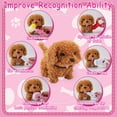 thumbnail image 3 of Set de veterinario Toy Doctor Kit TEUVO con perro de peluche y disfraz, 3 of 9