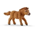 thumbnail image 2 of Mini Shetty foal, 2 of 2