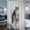thumbnail image 5 of Shower Curtain for Bathroom Cute Funny Cat on The Toilet Waterproof Bath Curtains Shower Curtains with Hooks,Animal Grey Art Bathroom Curtain Privacy Drapes for Bathtubs Toilet 72x72in, 5 of 9