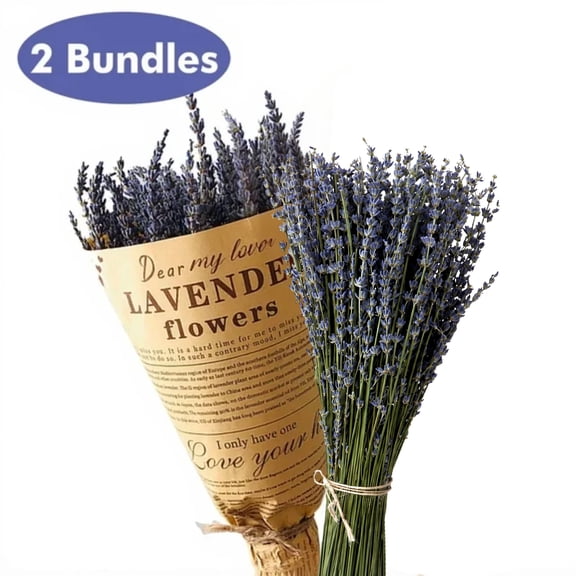 Hengbo Dried Lavender Bundles 2 Bundles Pack 100% Natural Dried Lavender Flowers for Home Decoration Photo Props Wedding Party