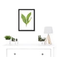 thumbnail image 2 of Leaf Convallaria Majalis Variegata Lilly of the Valley Artwork Framed Wall Art Print A4, 2 of 4