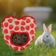 thumbnail image 3 of Lindo conejo alimentador bolsa contenedor colgante alimentación rojo Yuyangstore Bolsas para comederos de heno, 3 of 8